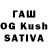 Конопля White Widow Gilyazov RUSTAM