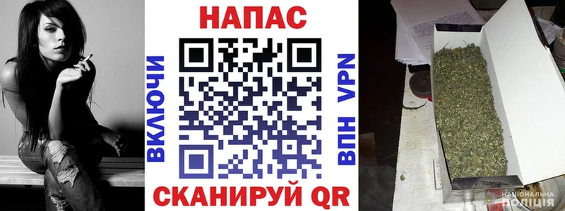 Канабис OG Kush  Шиханы 